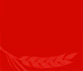 2024年昆明步學(xué)高考補(bǔ)習(xí)開(kāi)設(shè)哪些組合