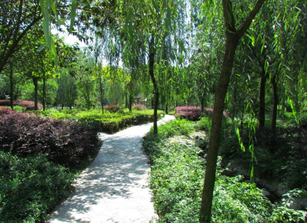 (成都郫縣希望職業(yè)技術(shù)學院)校園環(huán)境