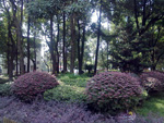 成都體育學院校園環(huán)境