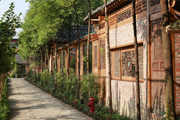 四川國際標榜職業(yè)學院生態(tài)院校