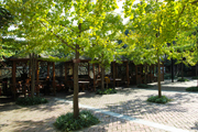 四川國際標榜職業(yè)學院園林式校園
