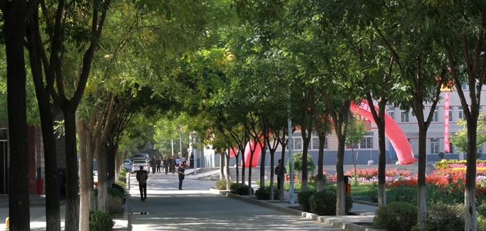  2020年四川管理職業(yè)學院五年制大專招生計劃