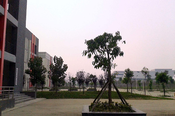 四川省建筑技工學校