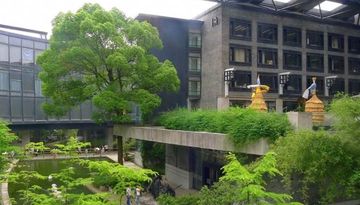  四川哪個康復治療專業(yè)學校好及錄取分數(shù)線