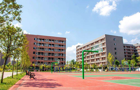  四川科技職業(yè)學院專升本該怎么做？