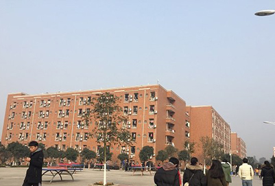 成都職業(yè)技術(shù)學校收費標準是多少?