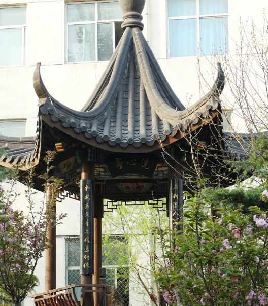  廣元職工醫(yī)學(xué)院2019有哪些專(zhuān)業(yè)及什么專(zhuān)業(yè)好