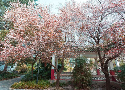 讀高鐵學(xué)校畢業(yè)的未來發(fā)展如何