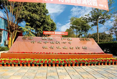 成都棠湖科學(xué)技術(shù)學(xué)校景觀(guān)環(huán)境