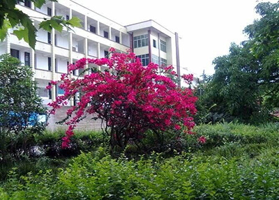 資陽口腔職業(yè)學院