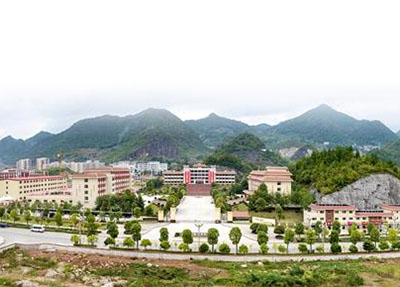，市場投資是
