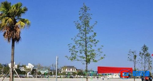 湄潭縣中等職業(yè)學校2020年分數(shù)線多少