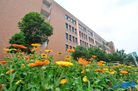成都電子商務學校哪家強