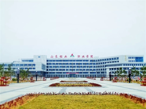 山東鋁業(yè)有限公司被教育部評為“產(chǎn)教融合型企業(yè)”