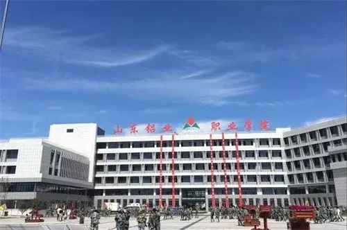 山東鋁業(yè)有限公司被教育部評為“產(chǎn)教融合型企業(yè)”
