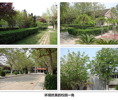 德州普利森技工學(xué)校校園環(huán)境好嗎？