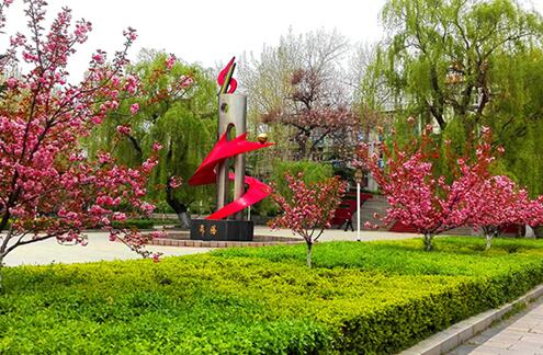 齊魯技術(shù)學院都開設(shè)有哪些特色專業(yè)？
