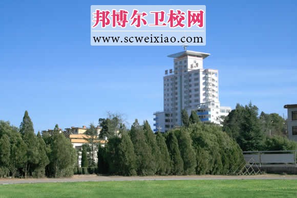 楚雄醫(yī)藥高等?？茖W(xué)校
