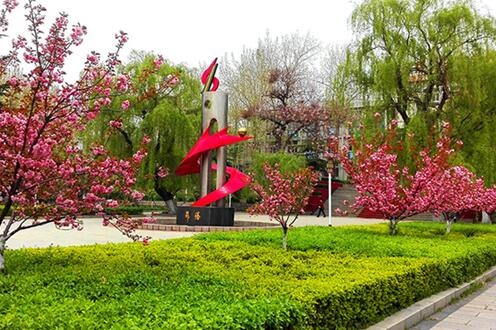 齊魯技術(shù)學(xué)院關(guān)于2020年錄取情況進行總結(jié)
