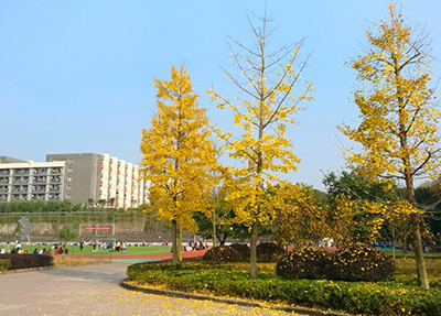 全日制重點職業(yè)學(xué)校