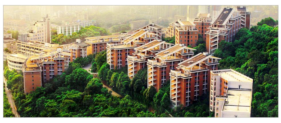  重慶理工大學(xué)各專業(yè)2020年錄取原則有哪些呢？
