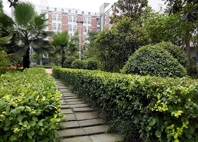 成都華商理工學(xué)校校園風景.jpg