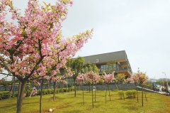  2024年重慶理工大學(xué)學(xué)校地址位于哪里呢？