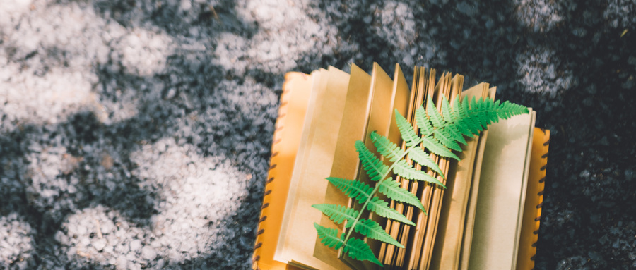 如何運營好學(xué)校官網(wǎng)？看這里！