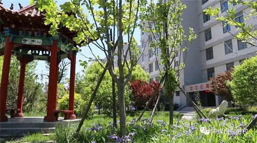 中國煤礦文工團藝術(shù)學?！H坊市工業(yè)學校合作專業(yè) 2020年招生開始了！