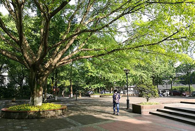 重慶市大足職業(yè)教育中心2020年計算機應用專業(yè)招生人數