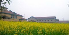  重慶輕工職業(yè)學(xué)院學(xué)費是多少