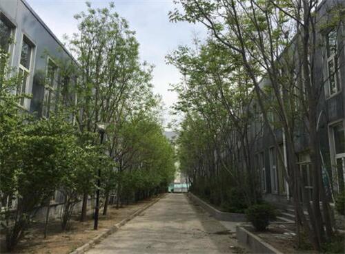 山東職業(yè)技工學校有何辦學優(yōu)勢？