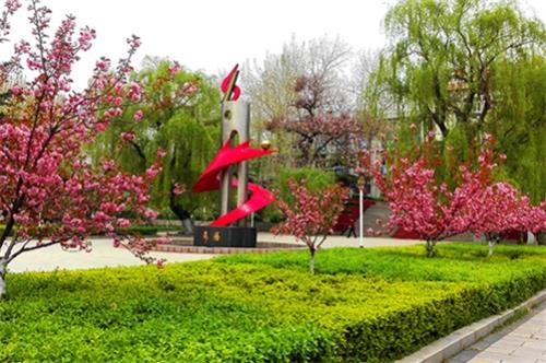 齊魯技術(shù)學(xué)院有何報(bào)名條件？