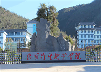 昆明醫(yī)藥衛(wèi)生職業(yè)學院2020年五年制高職錄取分數(shù)線
