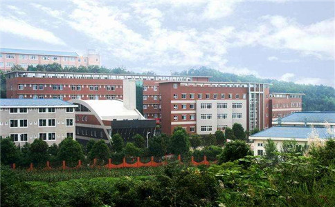 綿陽市藝術(shù)學校_就業(yè)前景，辦學優(yōu)勢