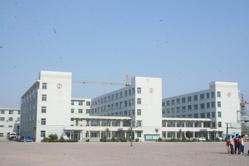 德州新星職業(yè)學(xué)校齊魯學(xué)院有哪些專業(yè)設(shè)置？