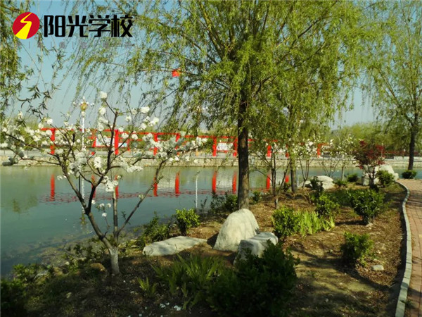 泰安陽光汽車專修學(xué)校怎么樣？值不值得報考？