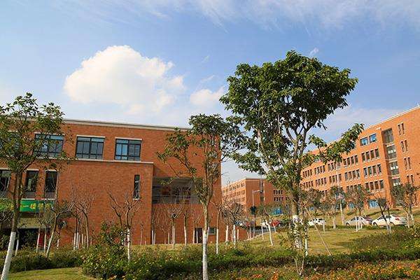 成都交通高級技工學校2020年報名條件、招生要求