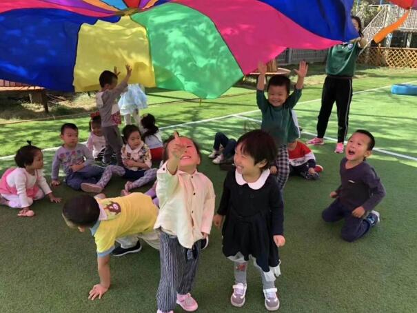你知道濰坊技師學(xué)院翰林定向班幼兒教育專業(yè)人才培養(yǎng)方案是什么嗎？