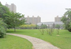  成都華大醫(yī)藥衛(wèi)生學(xué)?？谇恍迯?fù)工藝學(xué)專業(yè)介紹