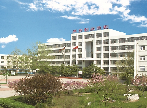 濰柴大學(xué)開(kāi)設(shè)哪些專業(yè)？