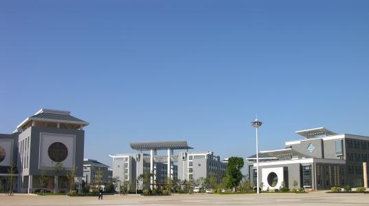 2020年云南中醫(yī)學(xué)院招生簡章