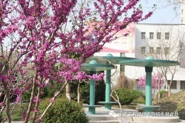 2020年山東工程技師學(xué)院什么時(shí)候開(kāi)始招生？