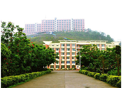 學(xué)校開(kāi)設(shè)的專業(yè)
