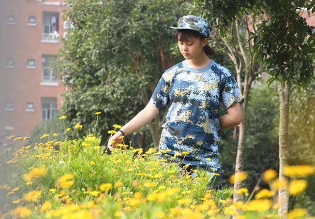 自貢計算機職業(yè)技在校生說術(shù)學(xué)校2020年招生簡介