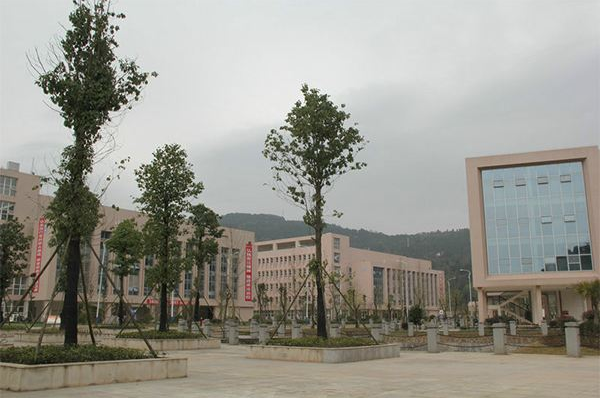 成都經(jīng)濟汽車技術(shù)學(xué)校有哪些專業(yè)