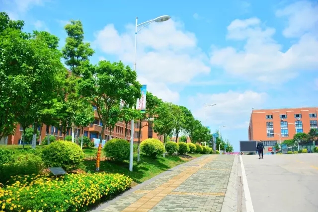 2020年汽車(chē)運(yùn)用與維修專業(yè)就業(yè)方向介紹「簡(jiǎn)述」