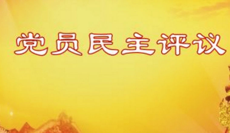 2020年黨員民主評議個(gè)人總結(jié)及自評意見（四篇）