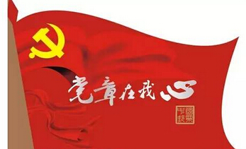 學(xué)習(xí)黨章心得體會(huì)2020年,學(xué)習(xí)中國(guó)共產(chǎn)黨黨章心得體會(huì)