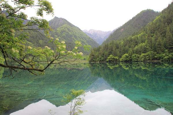 成都農(nóng)業(yè)科技職業(yè)學(xué)院?jiǎn)握性趺礃幽兀? /></p></p>
<p>學(xué)院占地441畝，設(shè)有園林園藝分院、現(xiàn)代農(nóng)業(yè)分院、畜牧獸醫(yī)分院、信息技術(shù)分院、經(jīng)濟(jì)管理分院、城鄉(xiāng)建設(shè)分院、機(jī)電技術(shù)分院等七大分院44個(gè)專(zhuān)業(yè)，年均招收普通高職專(zhuān)科學(xué)生3000余人，在校生規(guī)模逾萬(wàn)人。</p>
<p>學(xué)院現(xiàn)有教職工共551人，其中教授(研究員)有12人，碩士及以上學(xué)位190人，“雙師”素質(zhì)教師266人。除此以外，還薈萃了眾多現(xiàn)代企業(yè)的經(jīng)營(yíng)、管理精英和技術(shù)能手作為學(xué)院客座教授和兼職教師。</p>
<p>學(xué)院始終秉持“守望田園，不辱使命”的“三農(nóng)”情懷，堅(jiān)持面向“三農(nóng)”、立足四川、輻射西部，在推進(jìn)農(nóng)業(yè)現(xiàn)代化的進(jìn)程中，凝心聚力、砥礪前行，主動(dòng)投入農(nóng)村經(jīng)濟(jì)建設(shè)主戰(zhàn)場(chǎng)，緊扣人才培養(yǎng)和社會(huì)服務(wù)兩大主題，不斷推進(jìn)學(xué)院的改革、建設(shè)和發(fā)展，為農(nóng)民增收、新農(nóng)村建設(shè)和現(xiàn)代農(nóng)業(yè)發(fā)展提供了有力的人才和技術(shù)支撐。</p>
      </div>
  <!--廣告中間-->

      <!--廣告底部-->
     

<a id=
